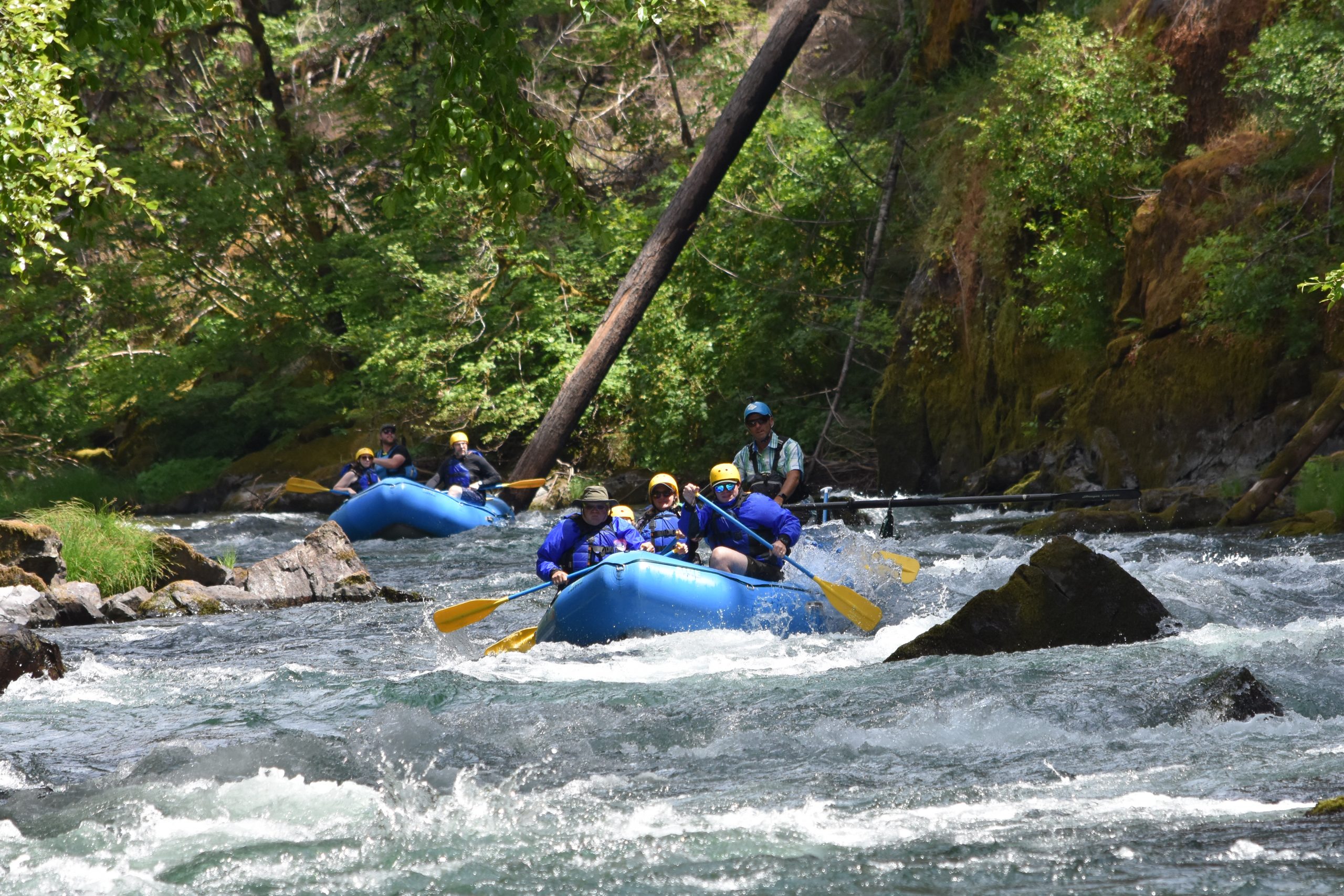 Rafters in a lush gorge on Oregons North Umpqua River