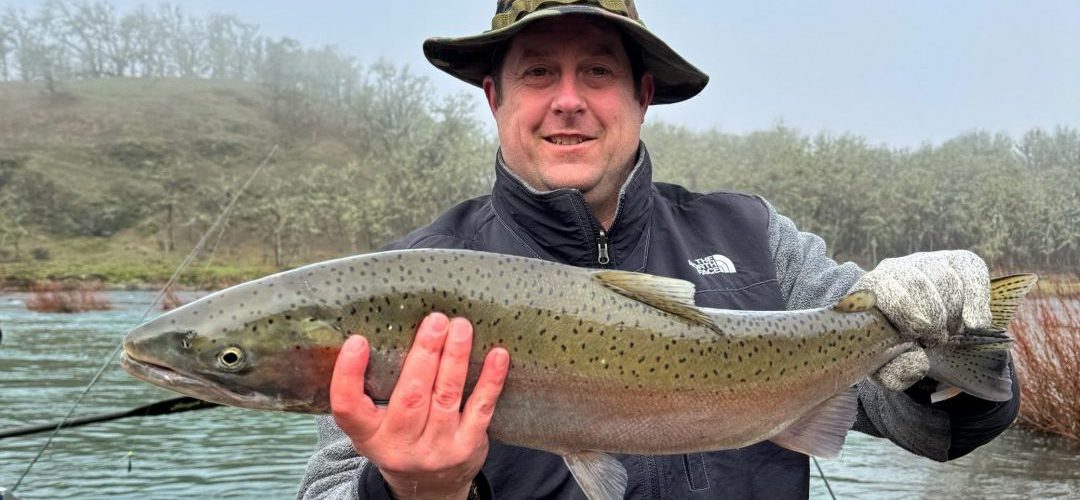 North Umpqua River steelhead