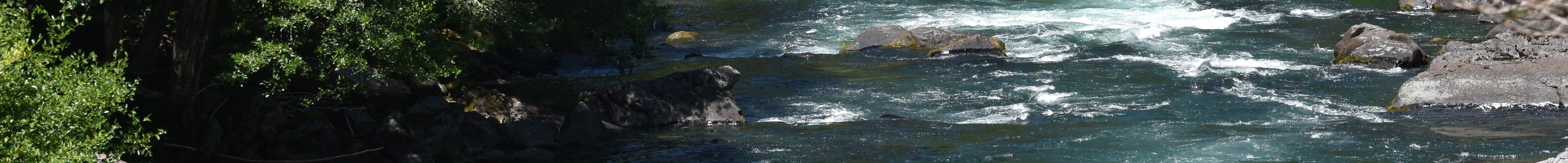 rafters in pinball rapid